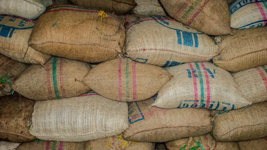 unsplash_c9AuglIqhes_coffee south america.webp