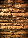 unsplash_SoMHwovUDqA_coffee columbia.webp