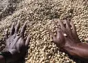 Ethiopie2.webp