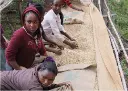 Ethiopie4.webp
