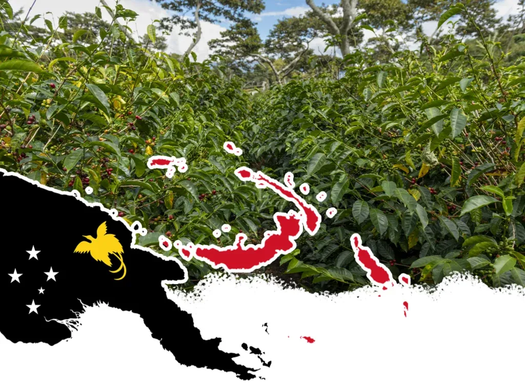 Papoua 2.webp
