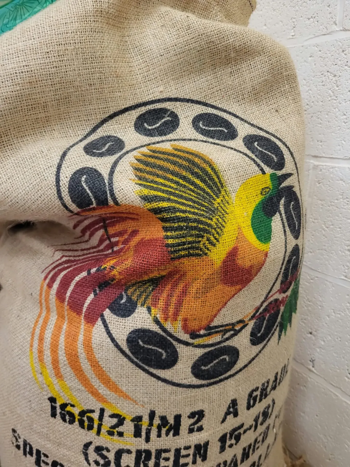 Cafés Papouasie Nouvelle-Guinée